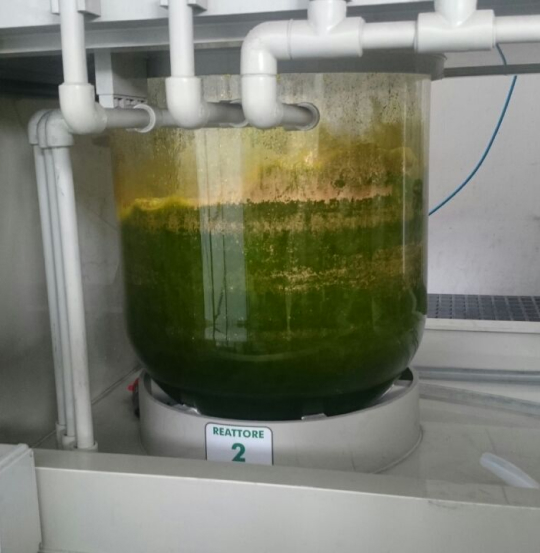 Affinazione in acqua regia