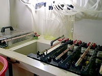 affinazione elettrolitica dell'oro