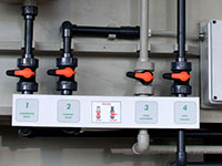 Inquartazione dell'oro