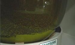 aqua regia gold refining