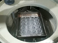 cappe di spartimento